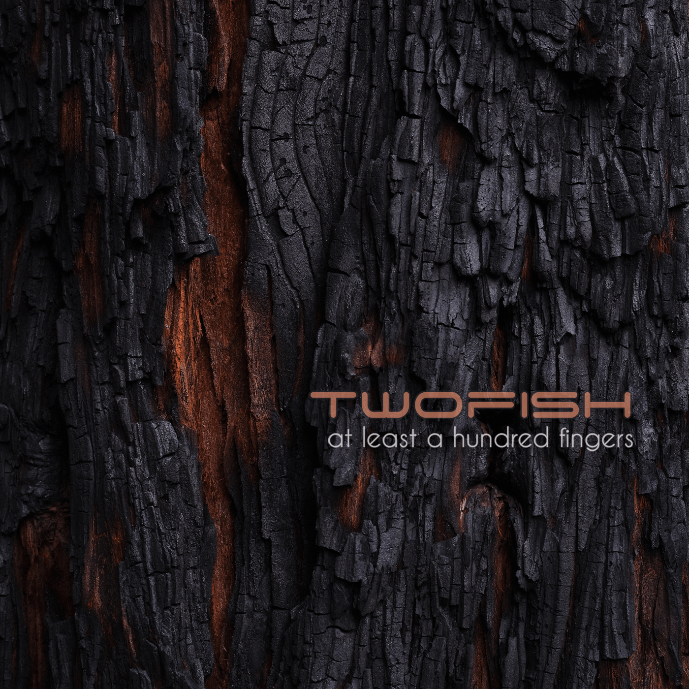 Album cover for Twofish albun 'At least a hundred fingers'.