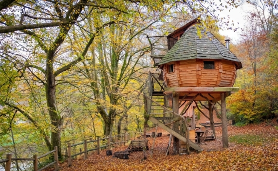 Picture of a treehouse